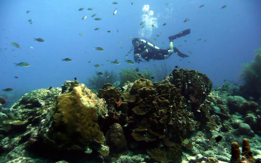 Curacao offers Exciting Scuba and Snorkelling, Says Tripps Worldwide