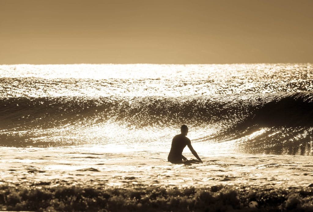 Tripps Worldwide Explores Dog Friendly Beach Towns 3